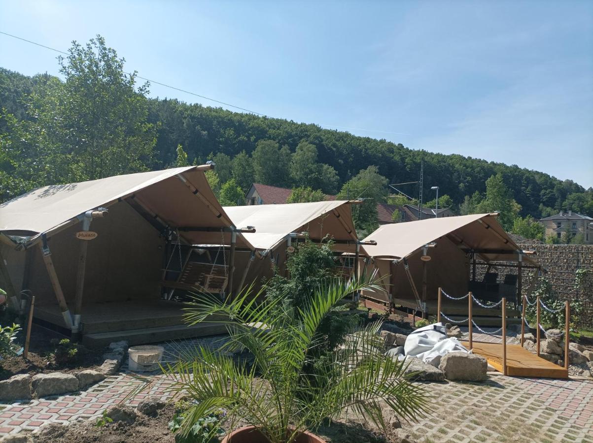 Отель Campingplatz Am Treidlerweg Кёнигштайн-ан-дер-Эльбе Экстерьер фото